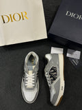 Încălțăminte Dior